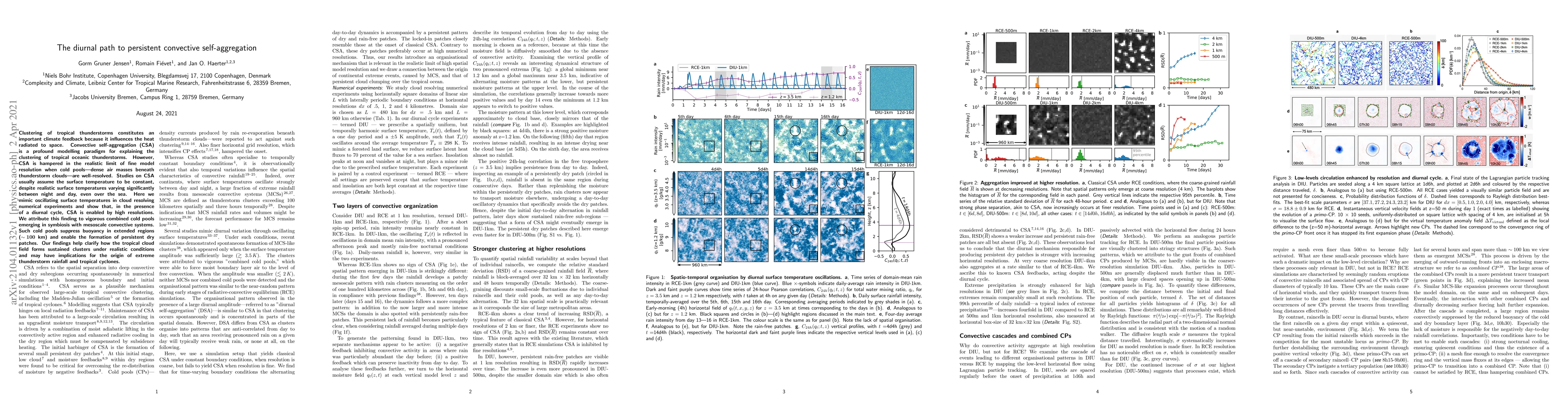 Thumbnail for The diurnal path to persistent convective self-aggregation