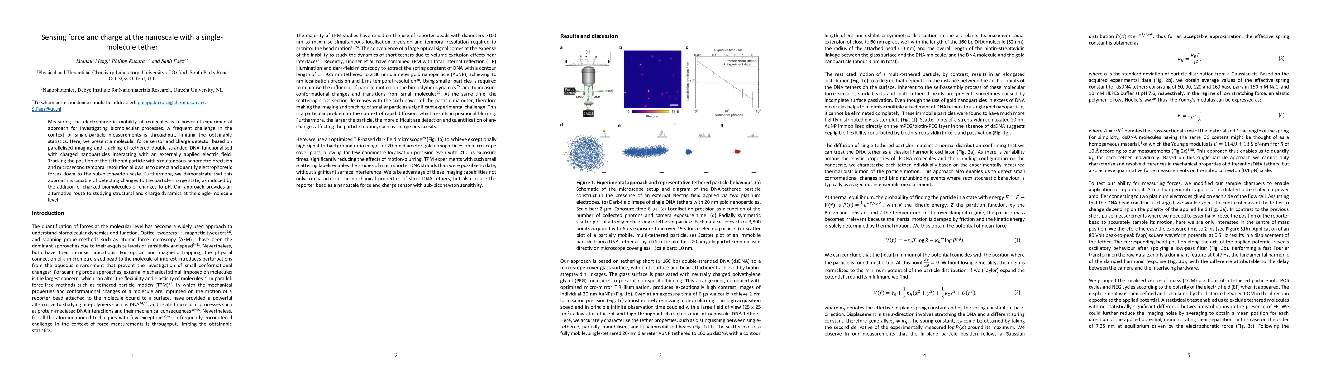 Thumbnail for Sensing force and charge at the nanoscale with a single-molecule tether