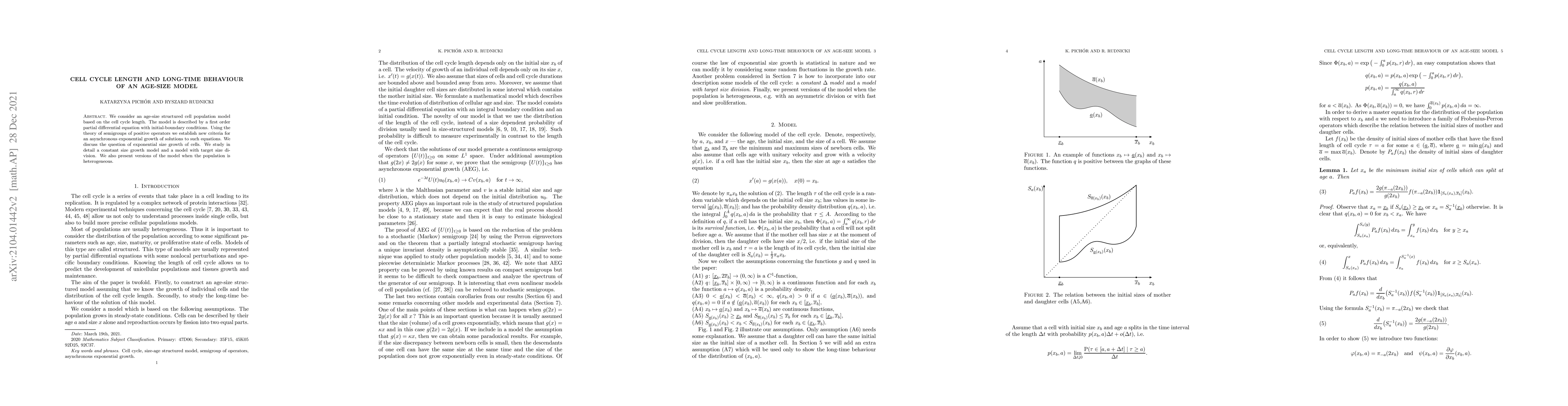Thumbnail for Cell cycle length and long-time behaviour of an age-size model