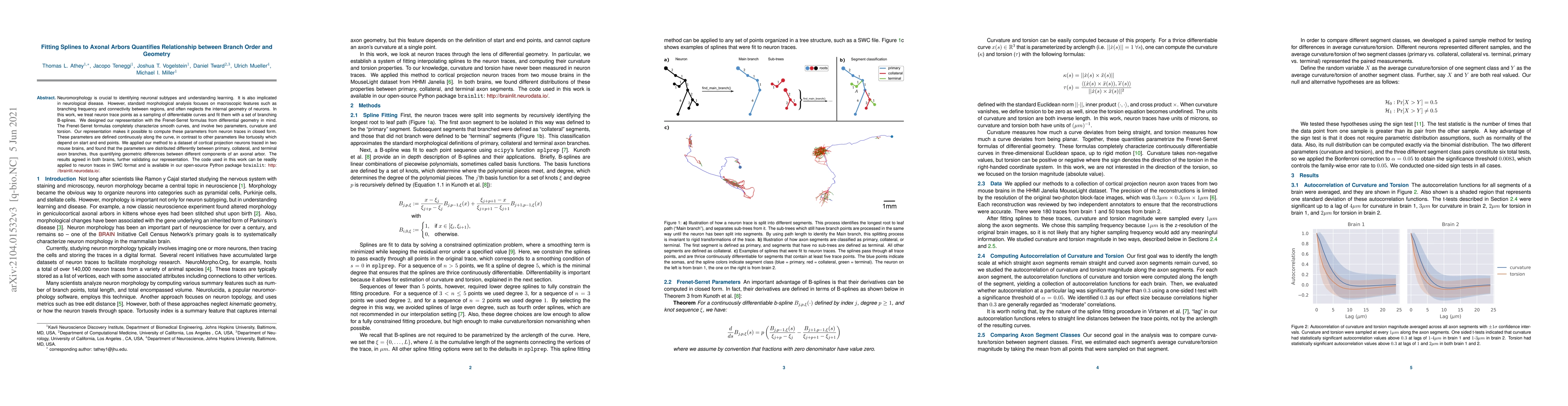 Thumbnail for Fitting Splines to Axonal Arbors Quantifies Relationship between Branch
  Order and Geometry