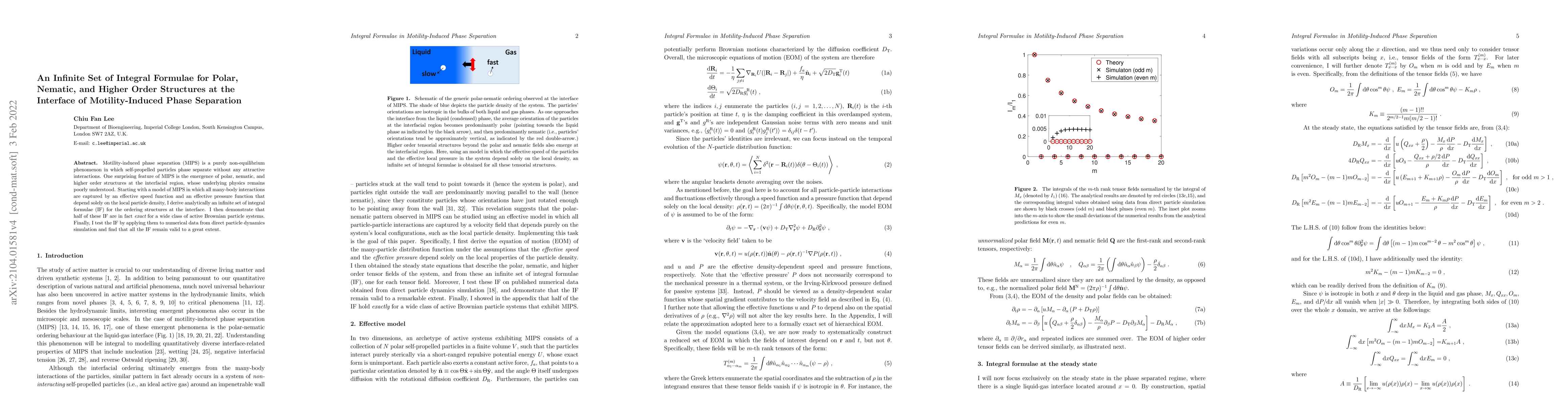 Thumbnail for An Infinite Set of Integral Formulae for Polar, Nematic, and Higher
  Order Structures at the Interface of Motility-Induced Phase Separation