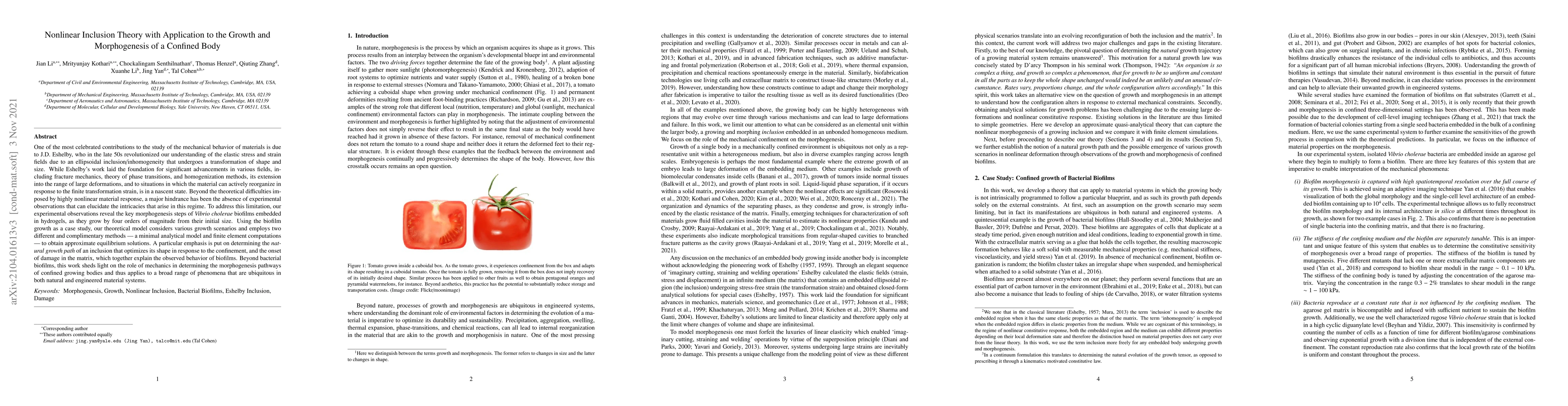 Thumbnail for Nonlinear Inclusion Theory with Application to the Growth and
  Morphogenesis of a Confined Body