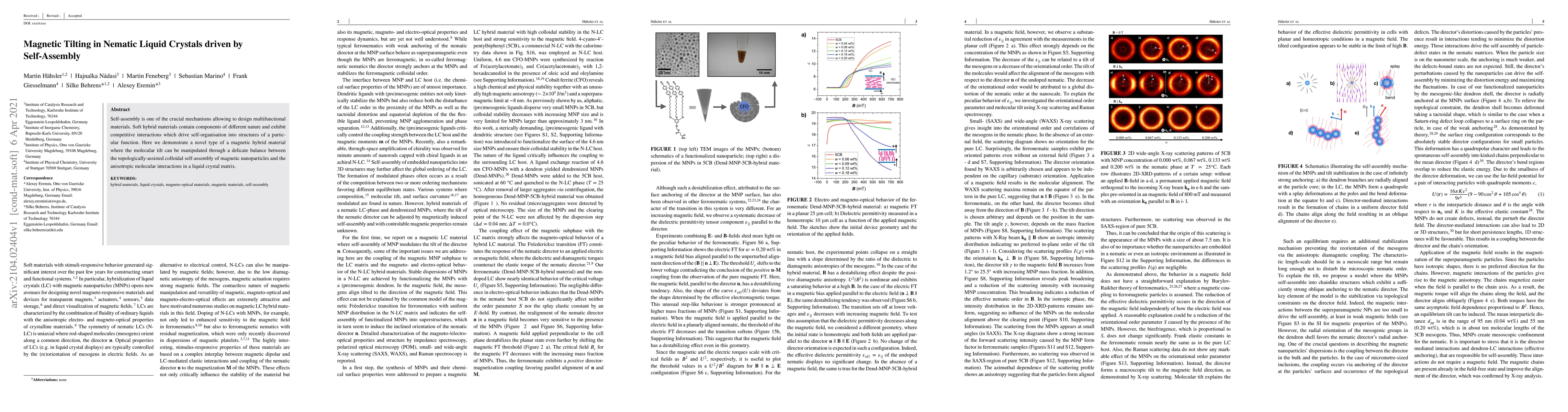 Thumbnail for Magnetic Tilting in Nematic Liquid Crystals driven by Self-Assembly