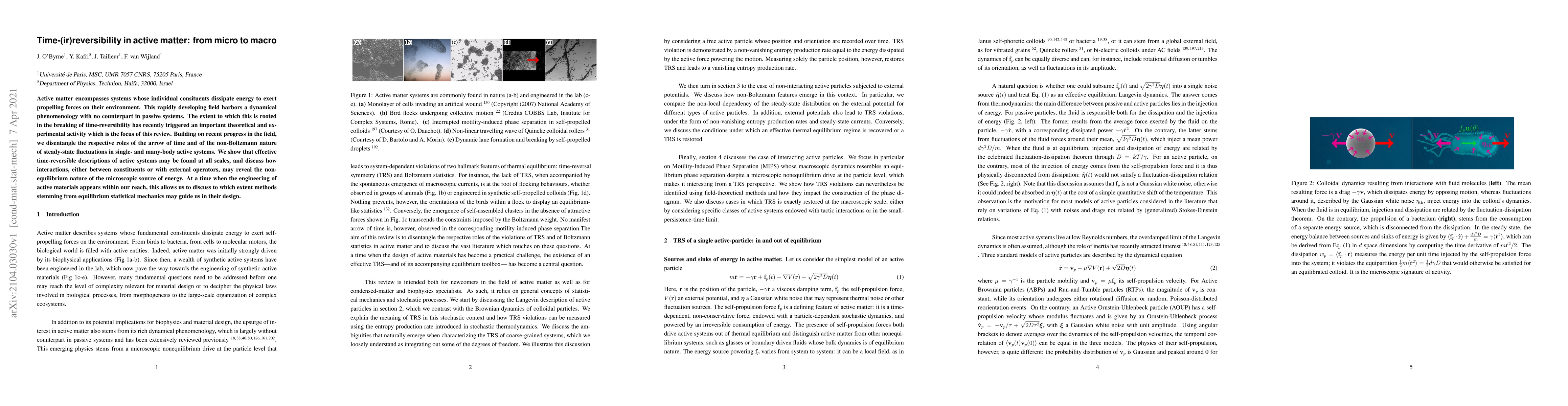 Thumbnail for Time-(ir)reversibility in active matter: from micro to macro
