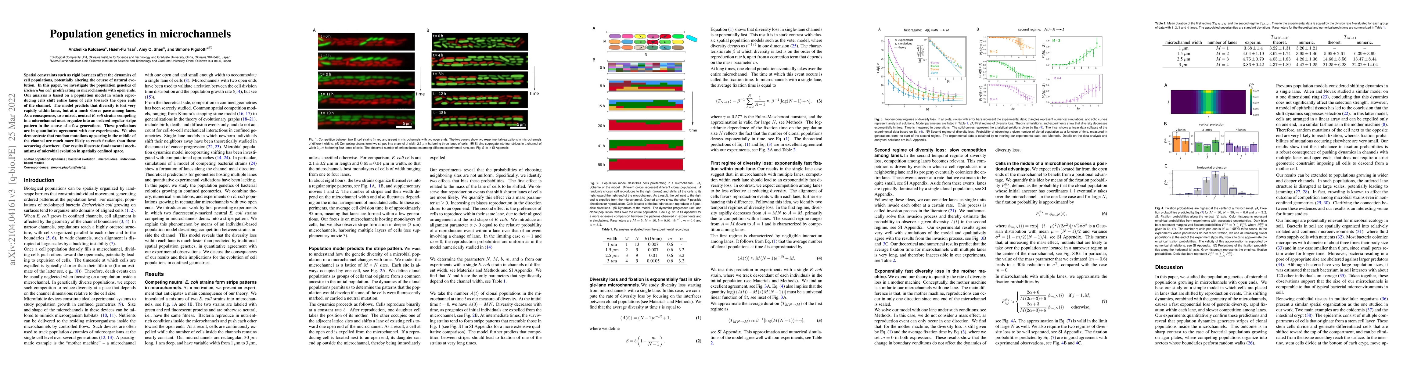 Thumbnail for Population genetics in microchannels