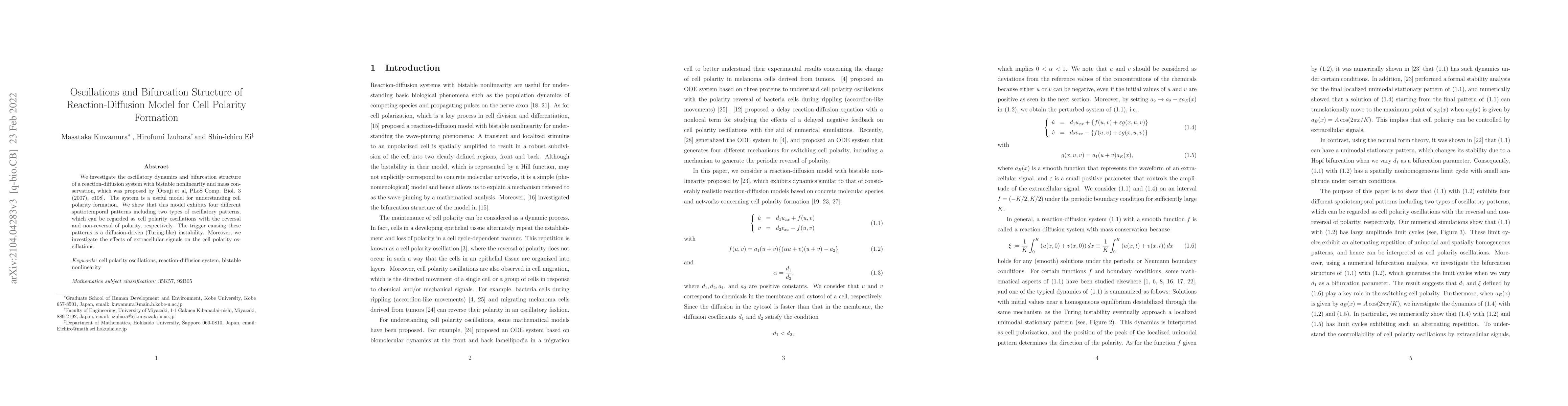 Thumbnail for Oscillations and Bifurcation Structure of Reaction-Diffusion Model for
  Cell Polarity Formation