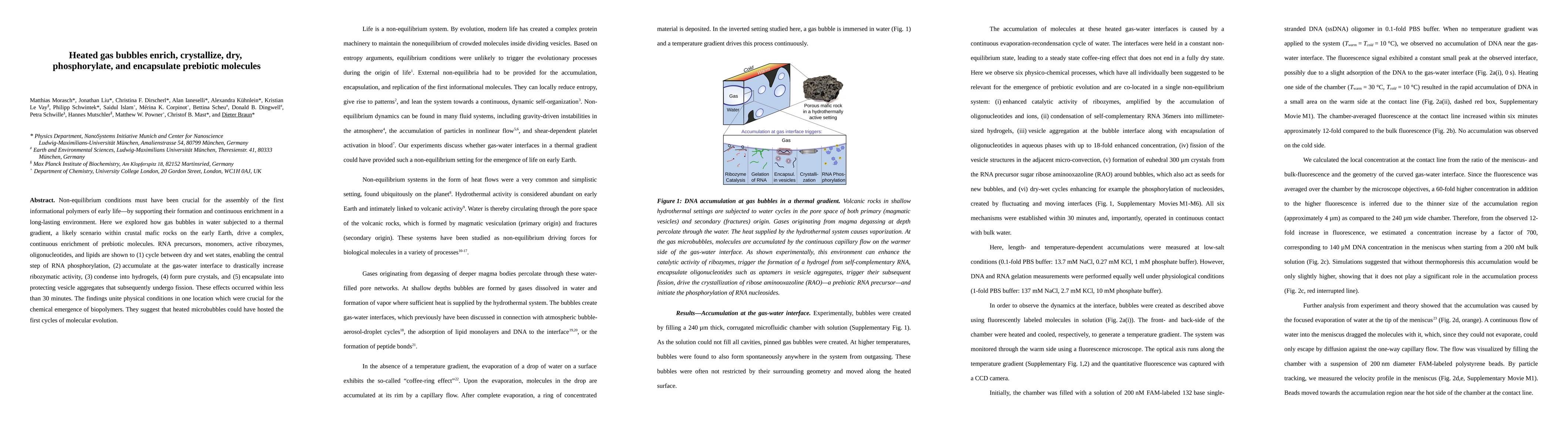 Thumbnail for Heated gas bubbles enrich, crystallize, dry, phosphorylate and
  encapsulate prebiotic molecules