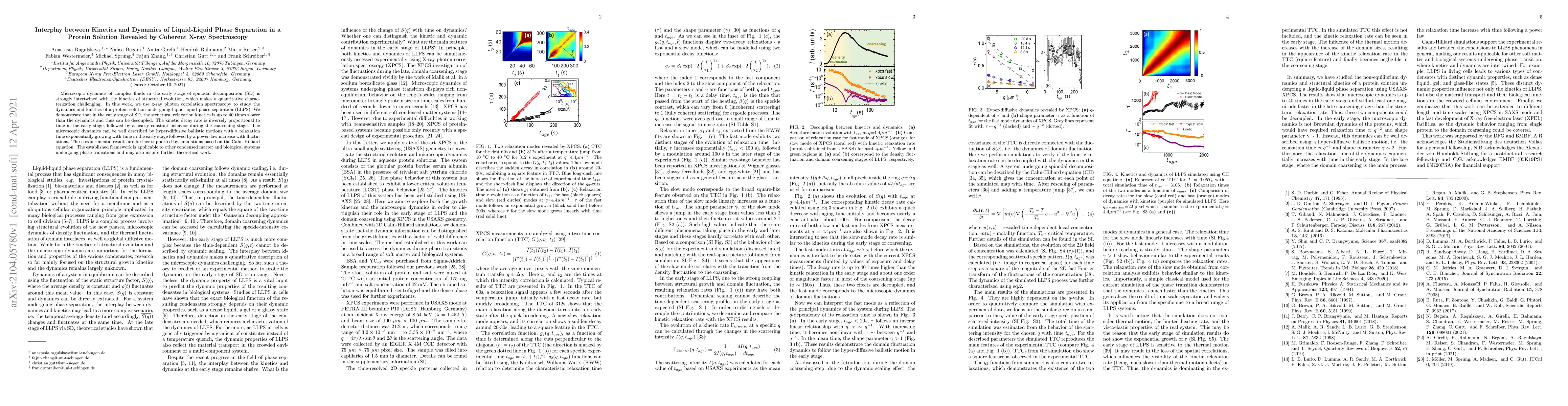 Thumbnail for Interplay between Kinetics and Dynamics of Liquid-Liquid Phase
  Separation in a Protein Solution Revealed by Coherent X-ray Spectroscopy