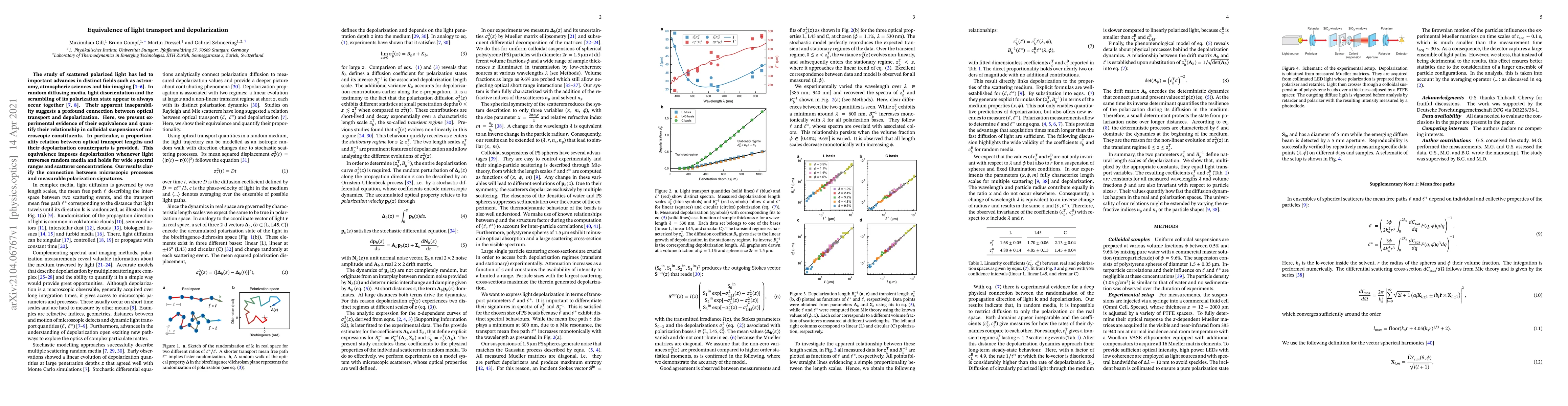 Thumbnail for Equivalence of light transport and depolarization