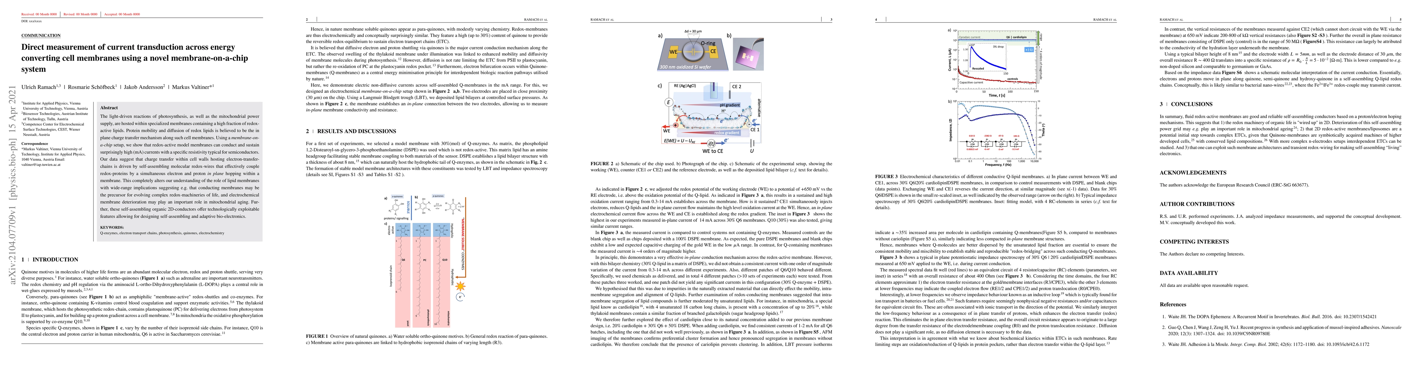 Thumbnail for Self-assembling redox-wires form the 2D power grid of energy converting
  cell membranes