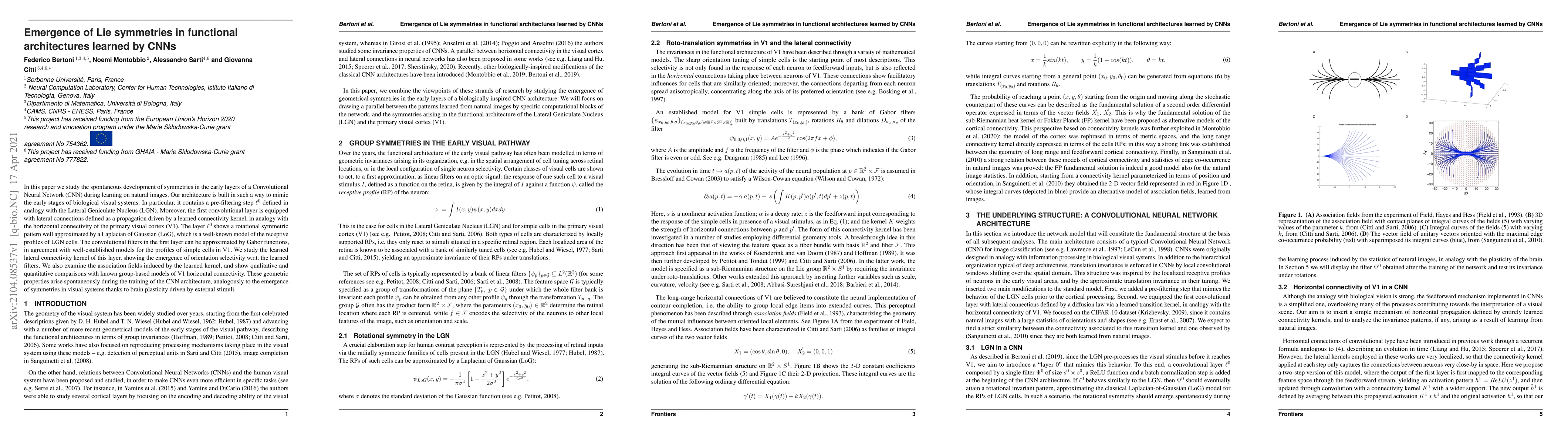 Thumbnail for Emergence of Lie symmetries in functional architectures learned by CNNs
