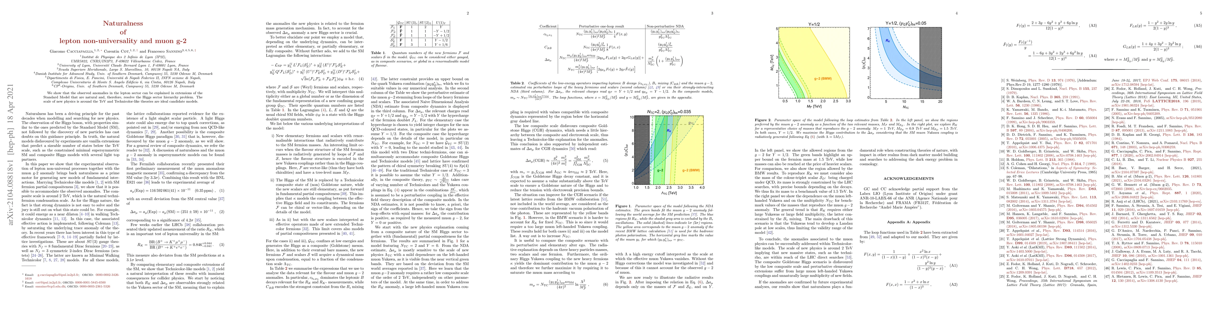 Thumbnail for Naturalness of lepton non-universality and muon g-2
