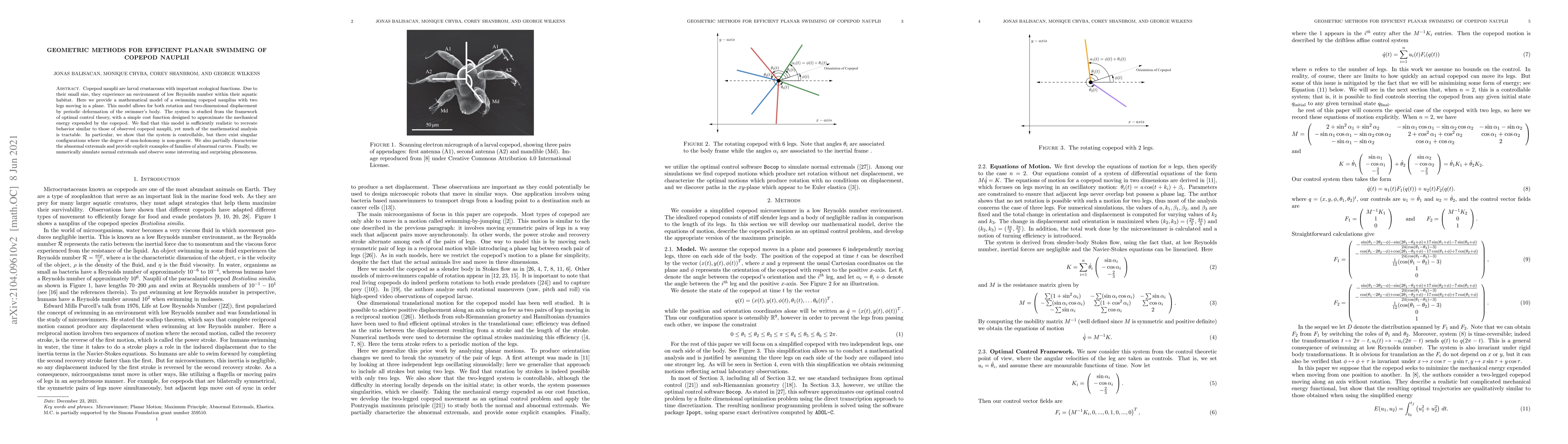 Thumbnail for Geometric methods for efficient planar swimming of copepod nauplii