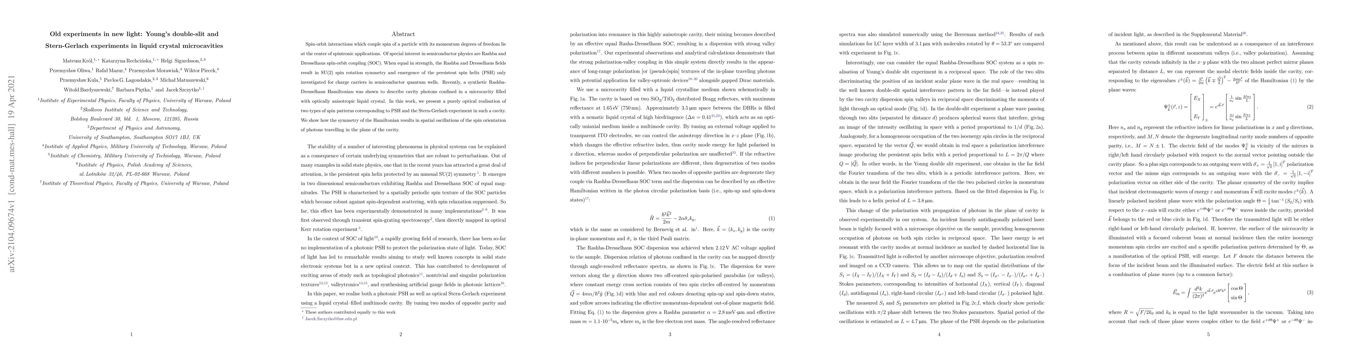 Thumbnail for Old experiments in new light: Young's double-slit and Stern-Gerlach
  experiments in liquid crystal microcavities