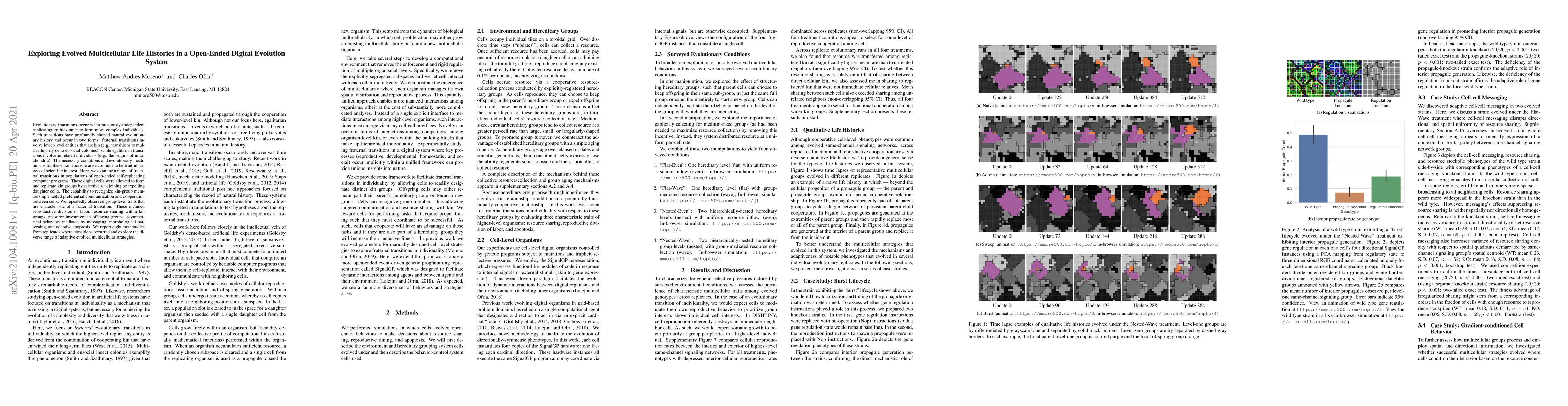 Thumbnail for Exploring Evolved Multicellular Life Histories in a Open-Ended Digital
  Evolution System