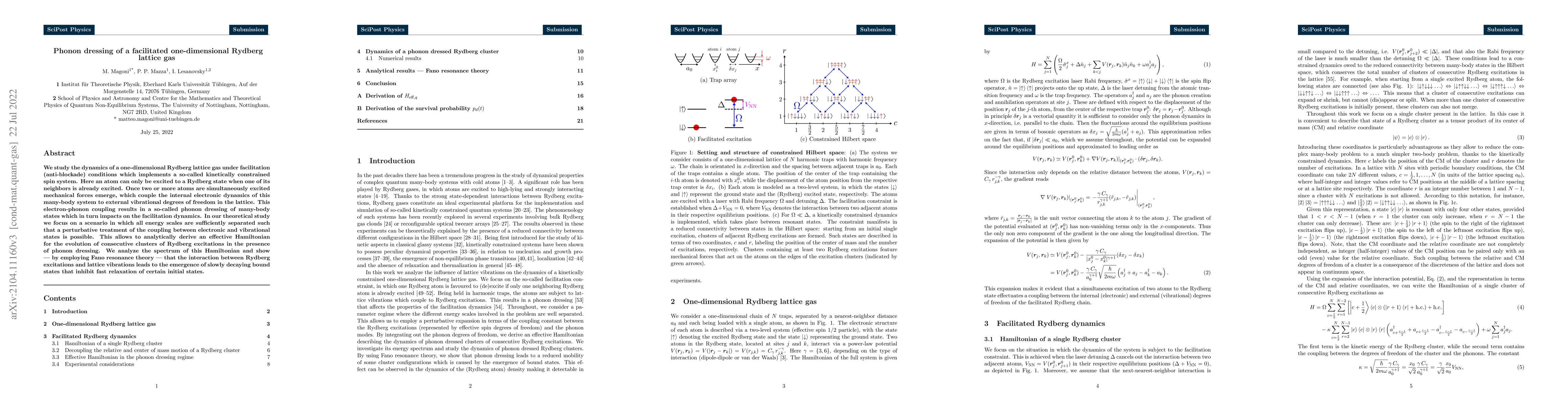 Thumbnail for Phonon dressing of a facilitated one-dimensional Rydberg lattice gas