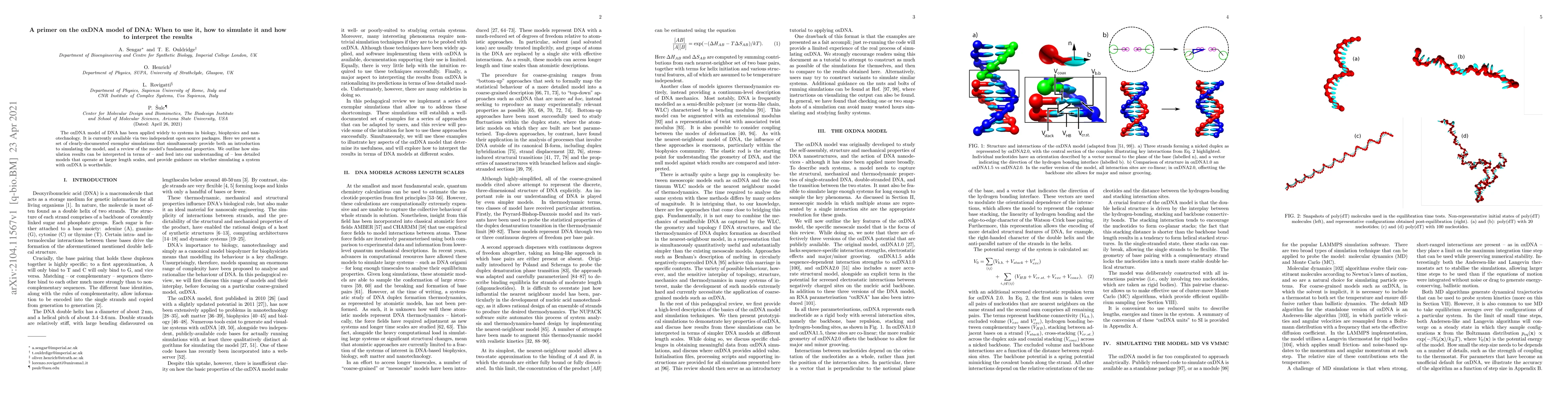 Thumbnail for A primer on the oxDNA model of DNA: When to use it, how to simulate it
  and how to interpret the results