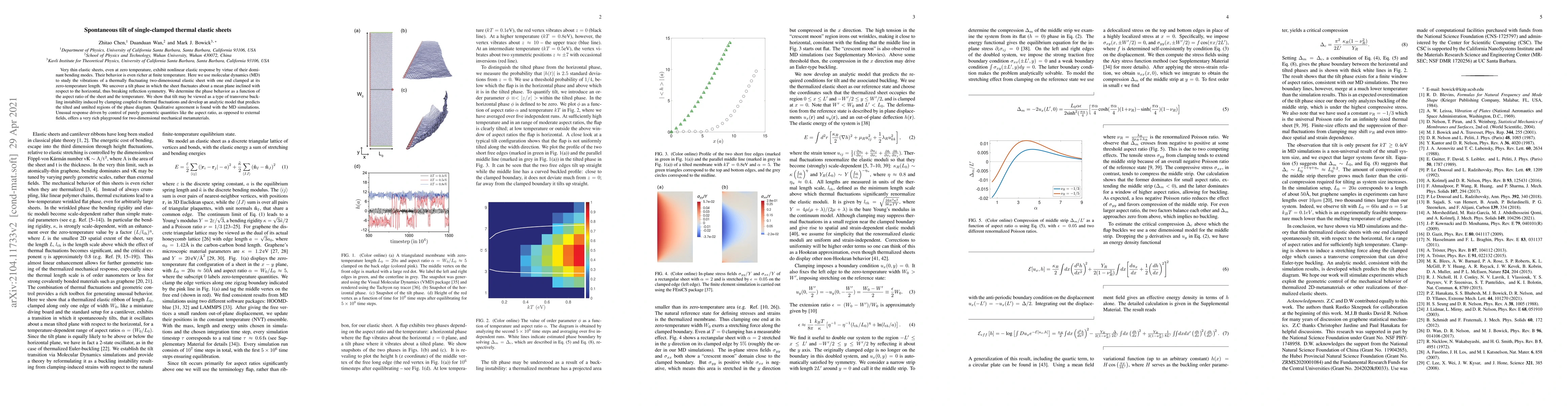 Thumbnail for Spontaneous tilt of single-clamped thermal elastic sheets