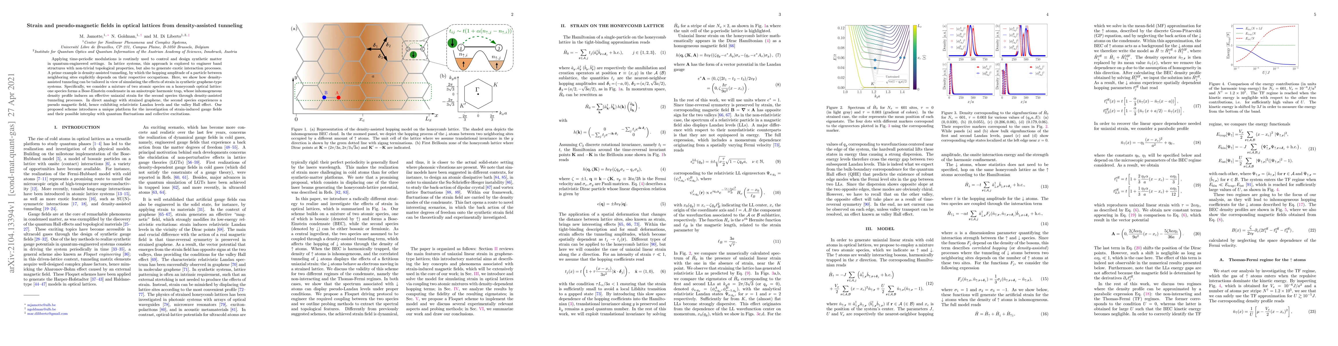 Thumbnail for Strain and pseudo-magnetic fields in optical lattices from
  density-assisted tunneling
