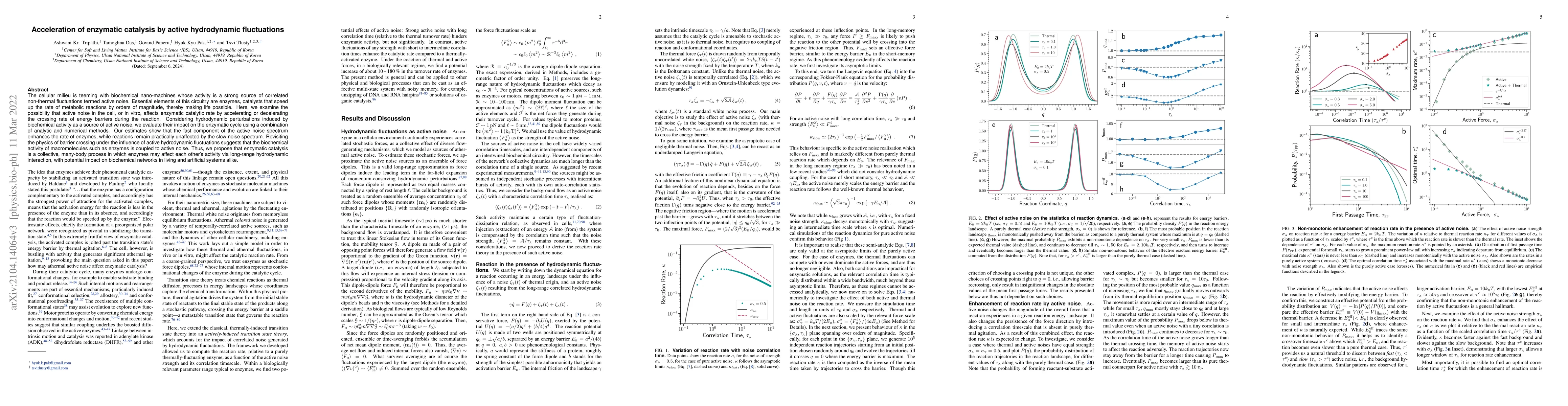 Thumbnail for Acceleration of enzymatic catalysis by active hydrodynamic fluctuations