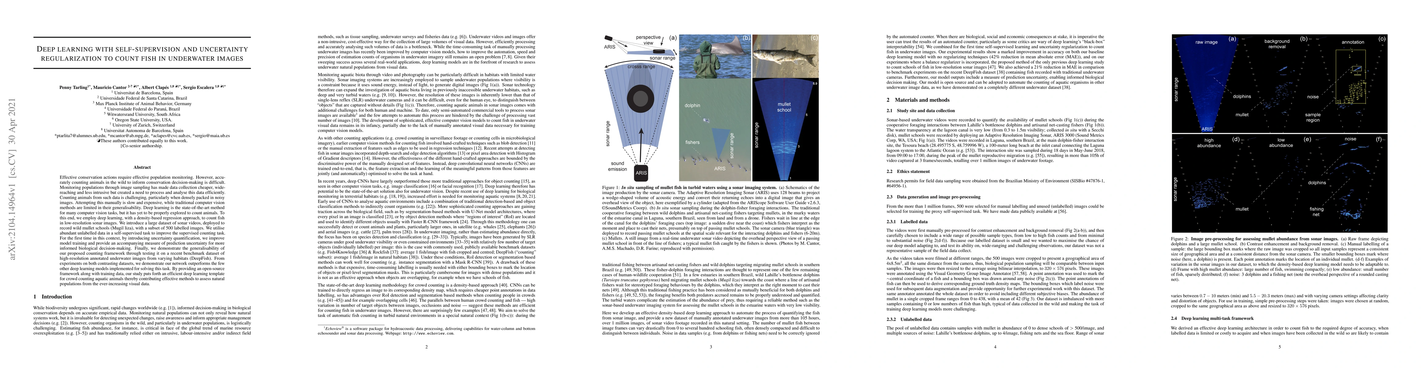 Thumbnail for Deep learning with self-supervision and uncertainty regularization to
  count fish in underwater images