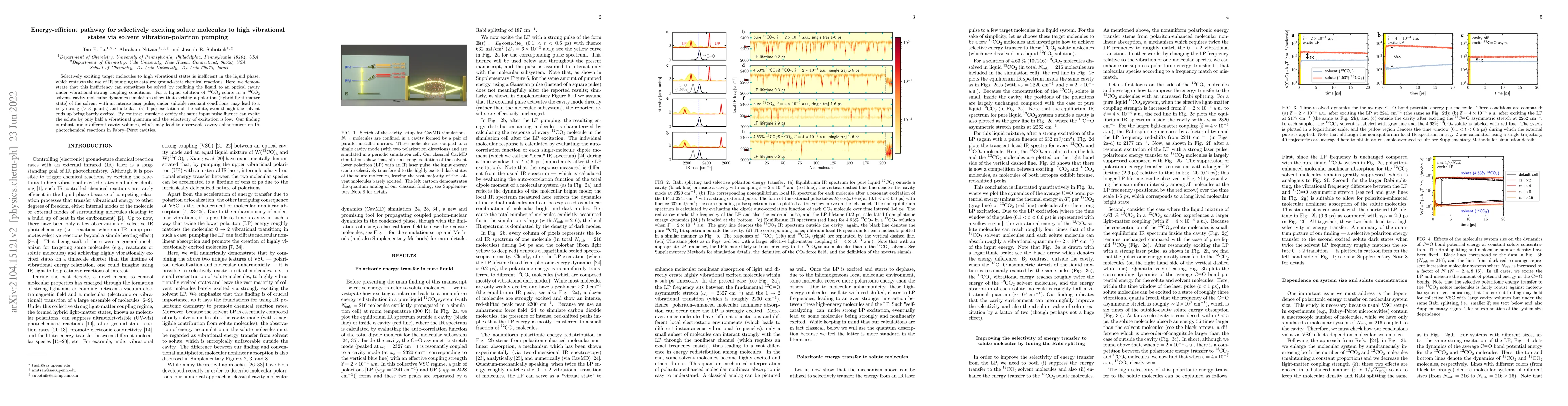 Thumbnail for Energy-efficient pathway for selectively exciting solute molecules to
  high vibrational states via solvent vibration-polariton pumping