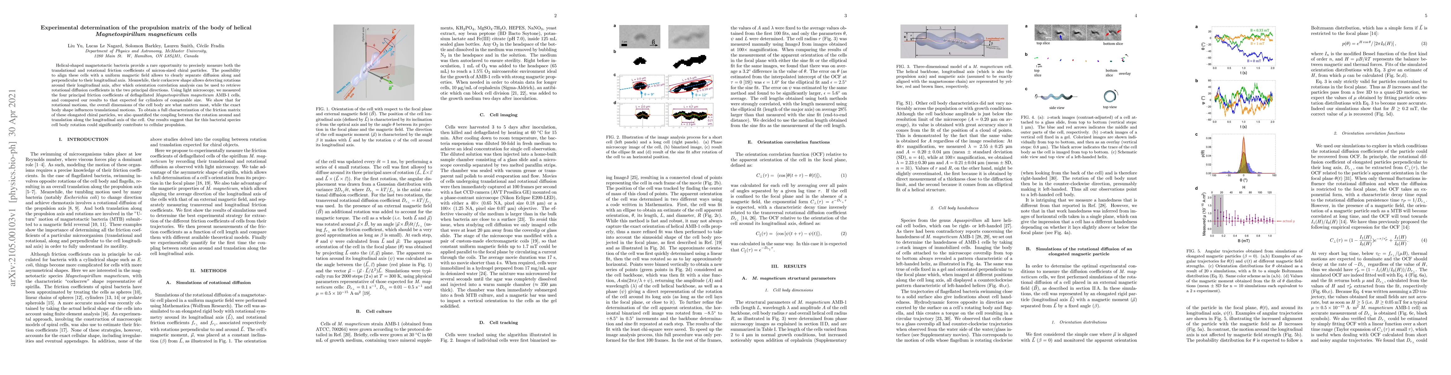 Thumbnail for Experimental determination of the propulsion matrix of the body of
  helical Magnetospirillum magneticum cells