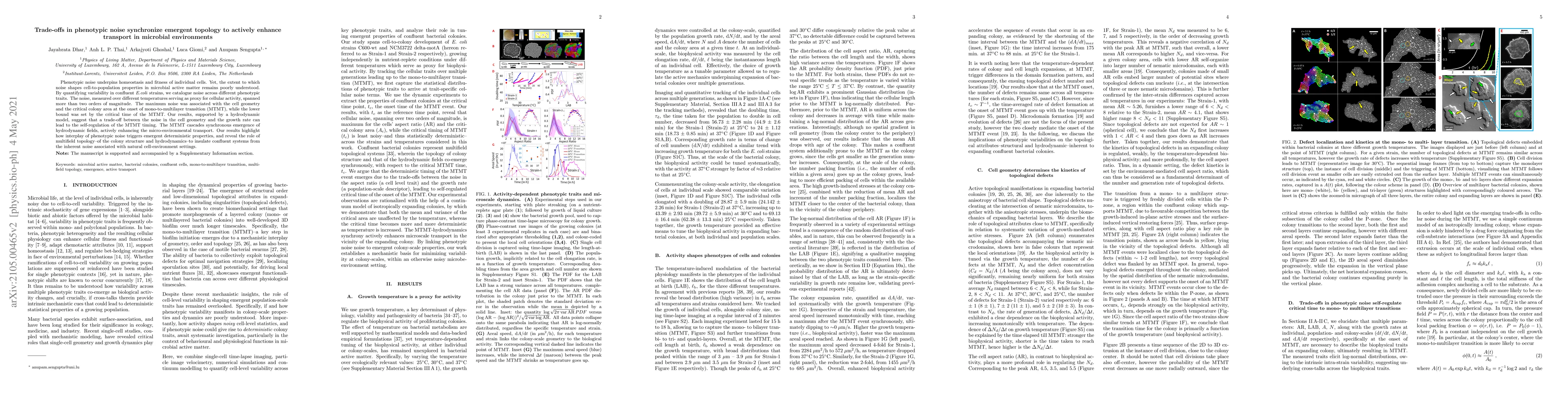 Thumbnail for Trade-offs in phenotypic noise synchronize emergent topology to actively
  enhance transport in microbial environments