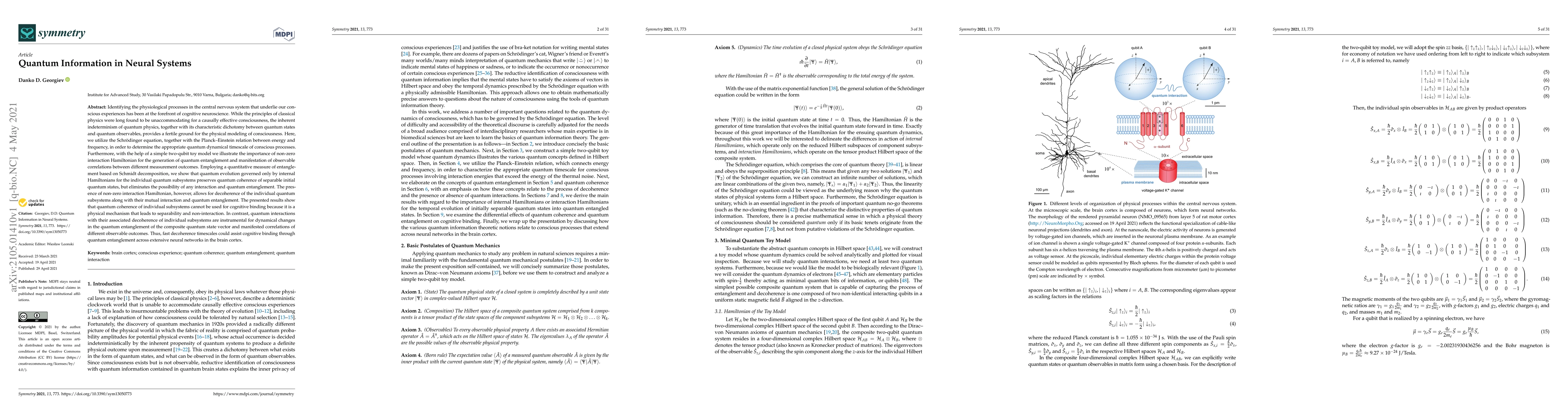 Thumbnail for Quantum information in neural systems
