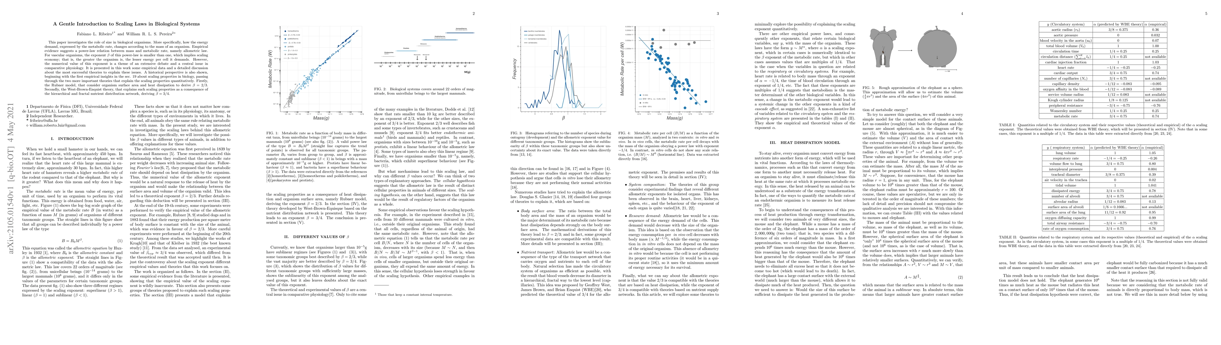 Thumbnail for A Gentle Introduction to Scaling Laws in Biological Systems