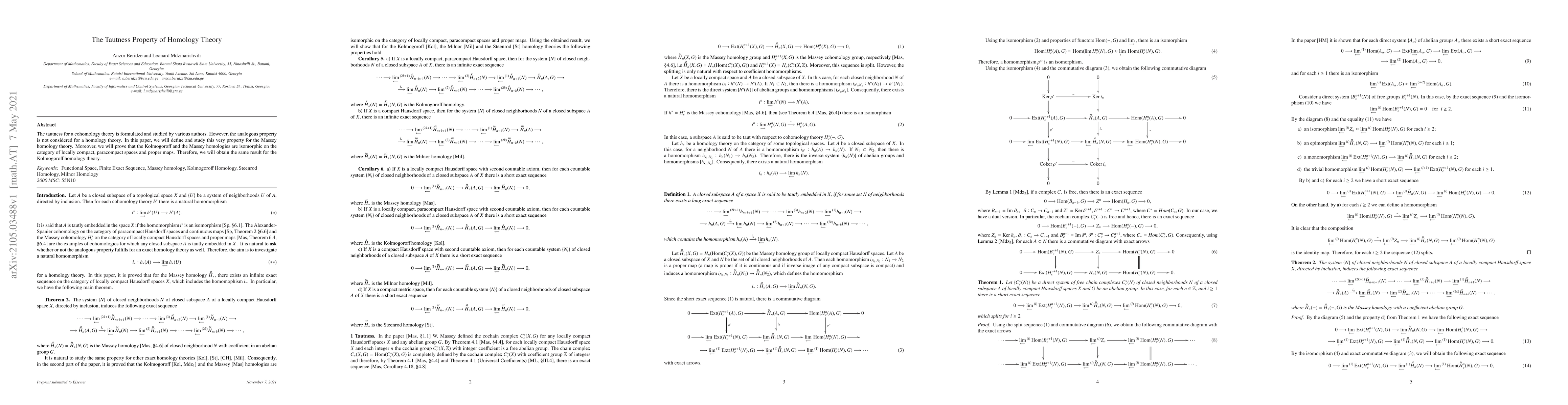 Thumbnail for The Tautness Property of Homology Theory