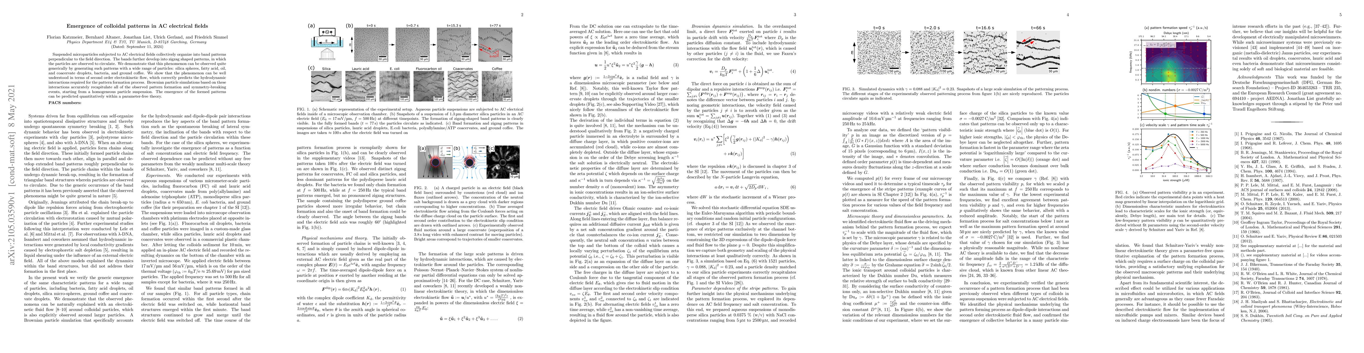 Thumbnail for Emergence of colloidal patterns in AC electrical fields