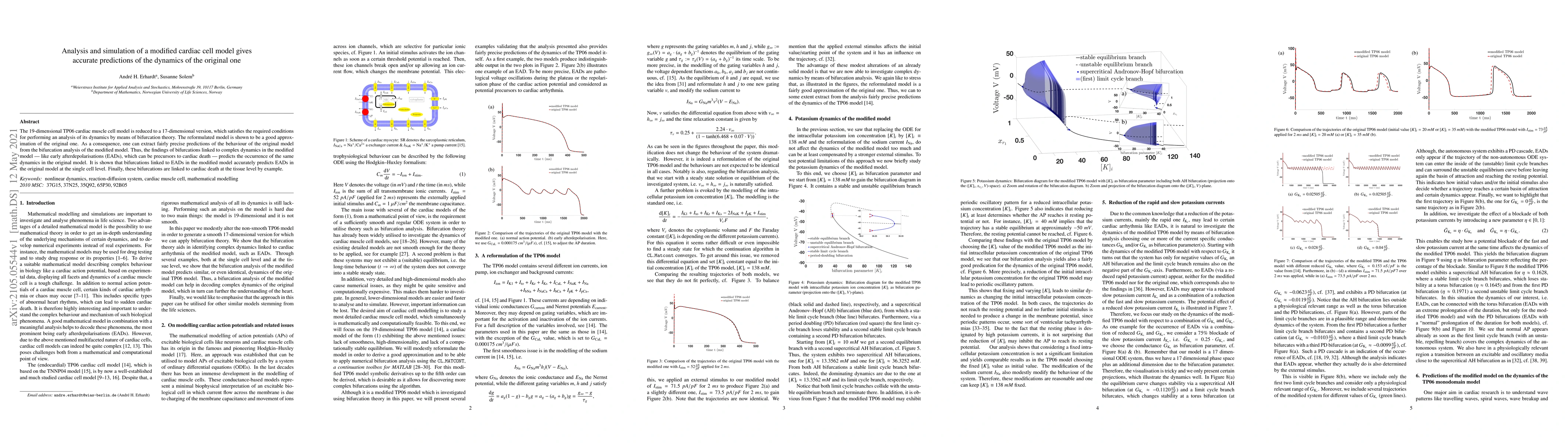 Thumbnail for Analysis and simulation of a modified cardiac cell model givesaccurate
  predictions of the dynamics of the original one