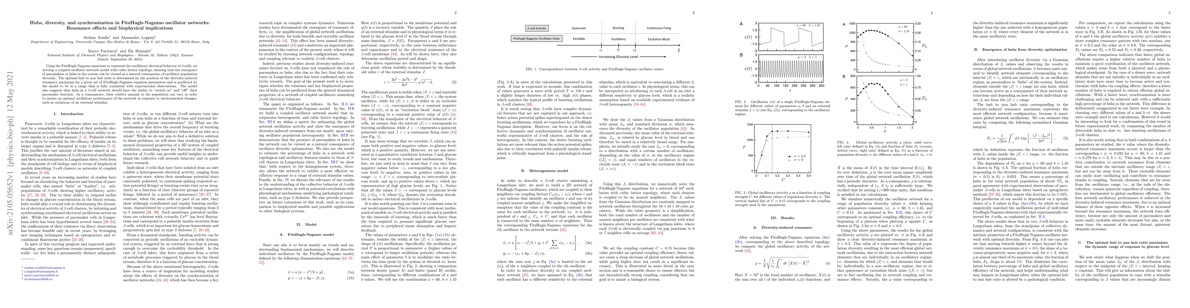 Thumbnail for Hubs, diversity, and synchronization in FitzHugh-Nagumo oscillator
  networks: Resonance effects and biophysical implications