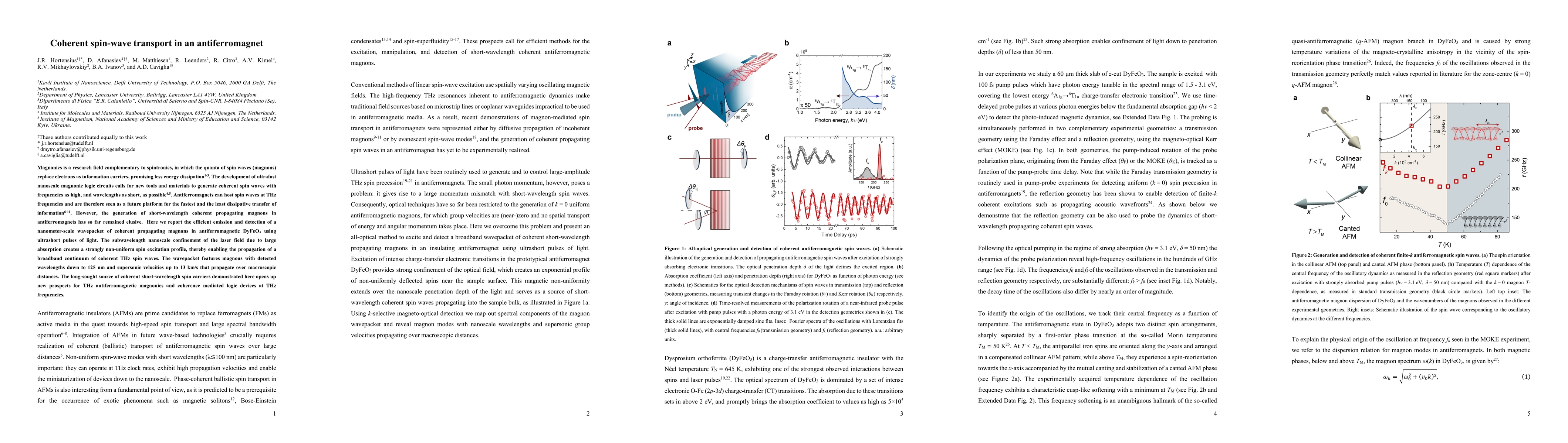 Thumbnail for Coherent spin-wave transport in an antiferromagnet