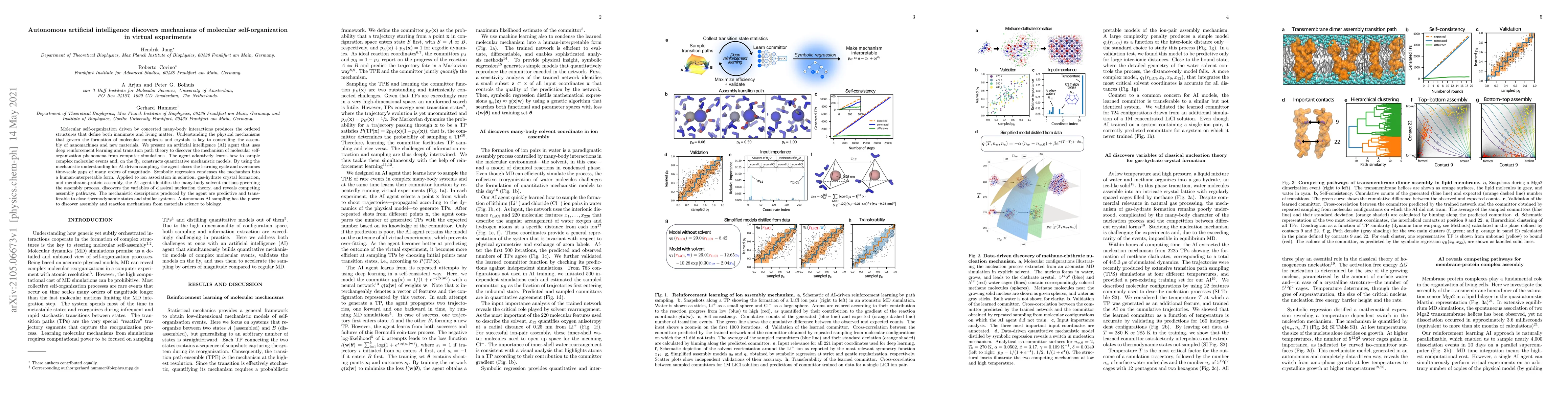 Thumbnail for Autonomous artificial intelligence discovers mechanisms of molecular
  self-organization in virtual experiments