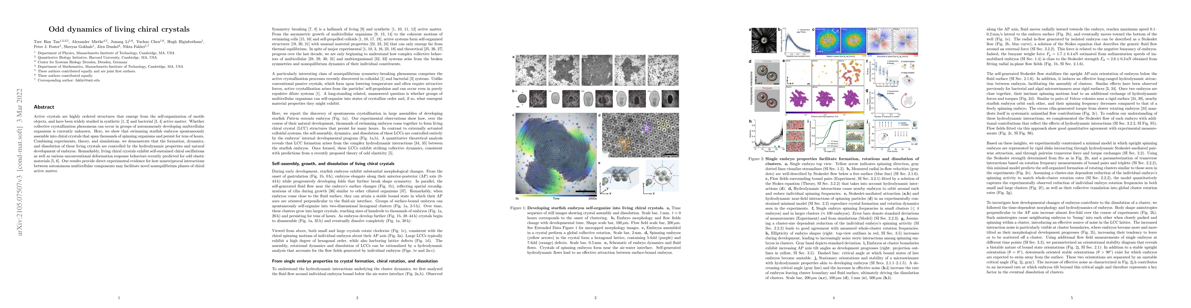 Thumbnail for Odd dynamics of living chiral crystals