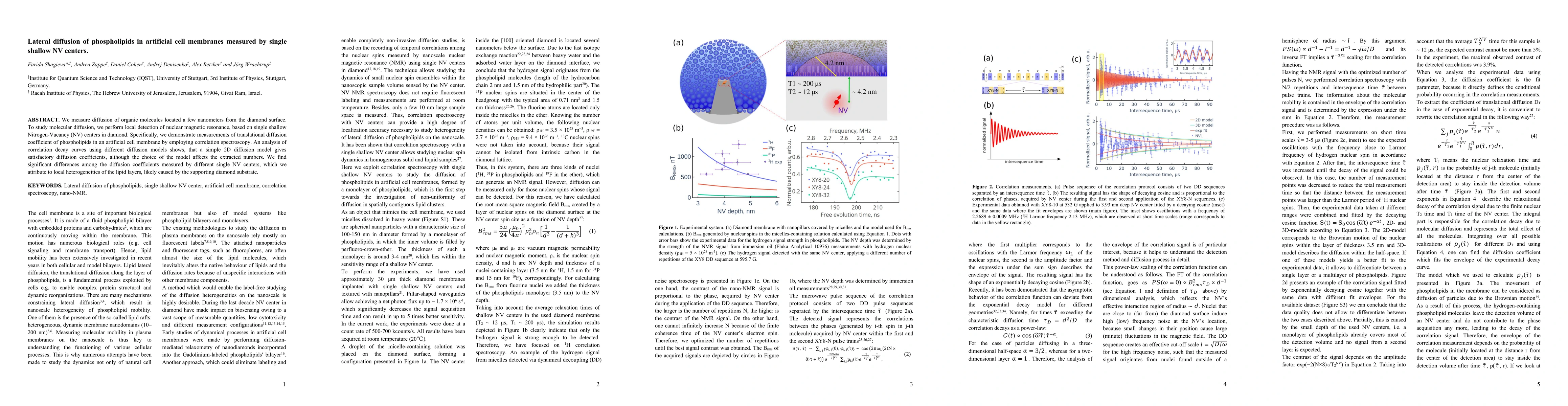 Thumbnail for Lateral diffusion of phospholipids in artificial cell membranes measured
  by single shallow NV centers