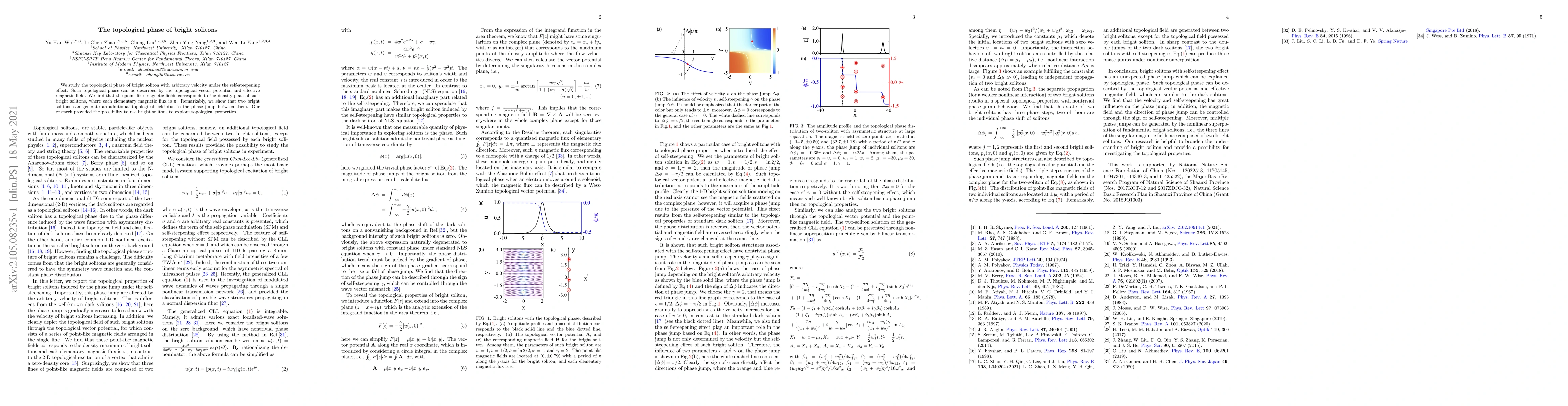 Thumbnail for The topological phase of bright solitons