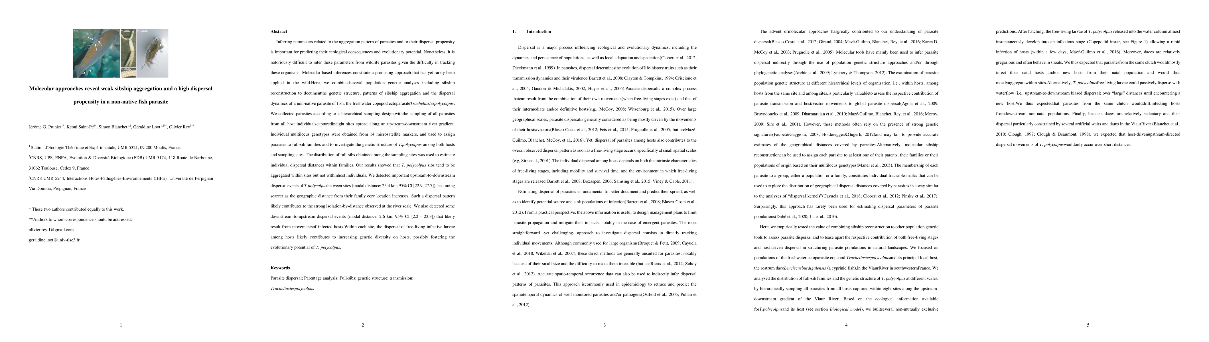 Thumbnail for Molecular approaches reveal weak sibship aggregation and a high
  dispersal propensity in a non-native fish parasite