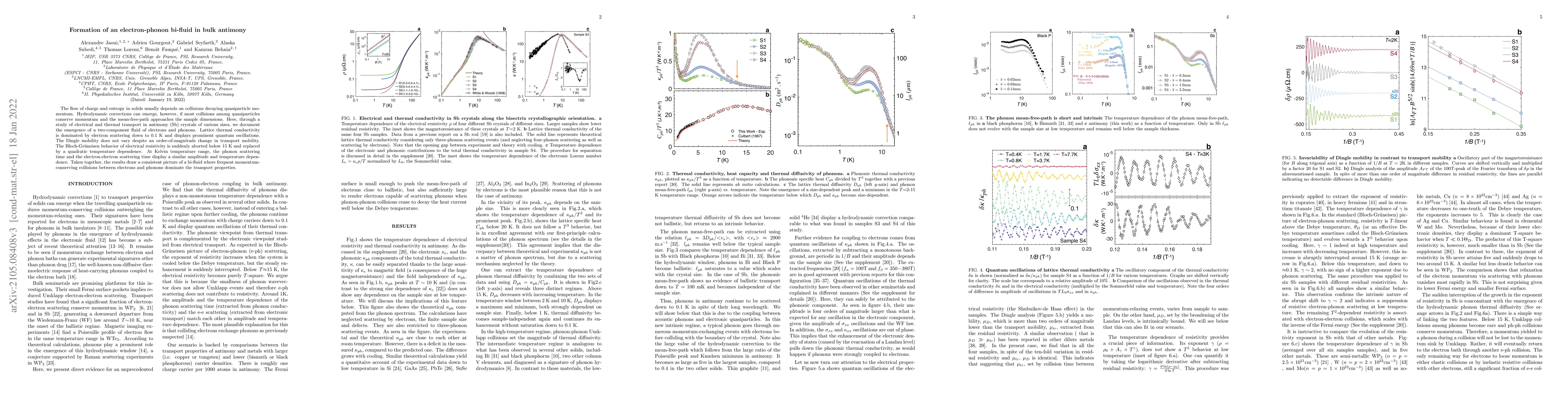 Thumbnail for Formation of an electron-phonon bi-fluid in bulk antimony