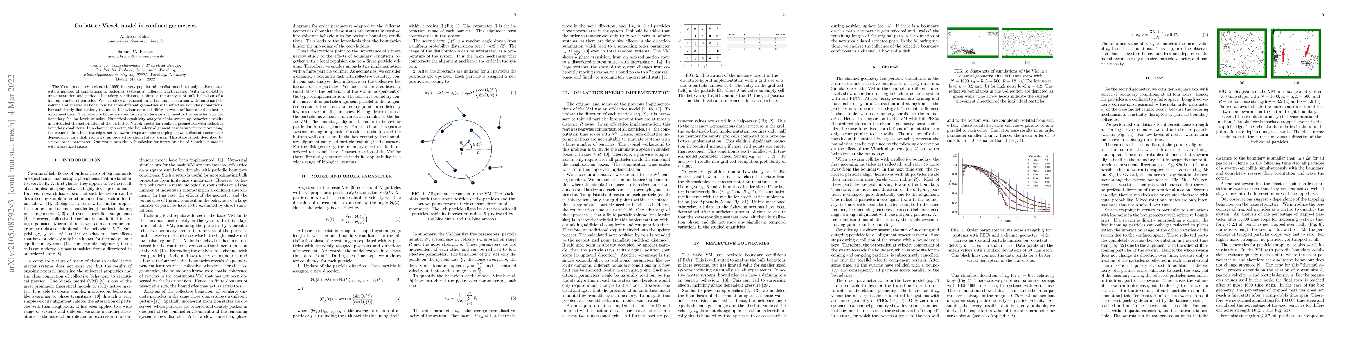 Thumbnail for On-lattice Vicsek model in confined geometries