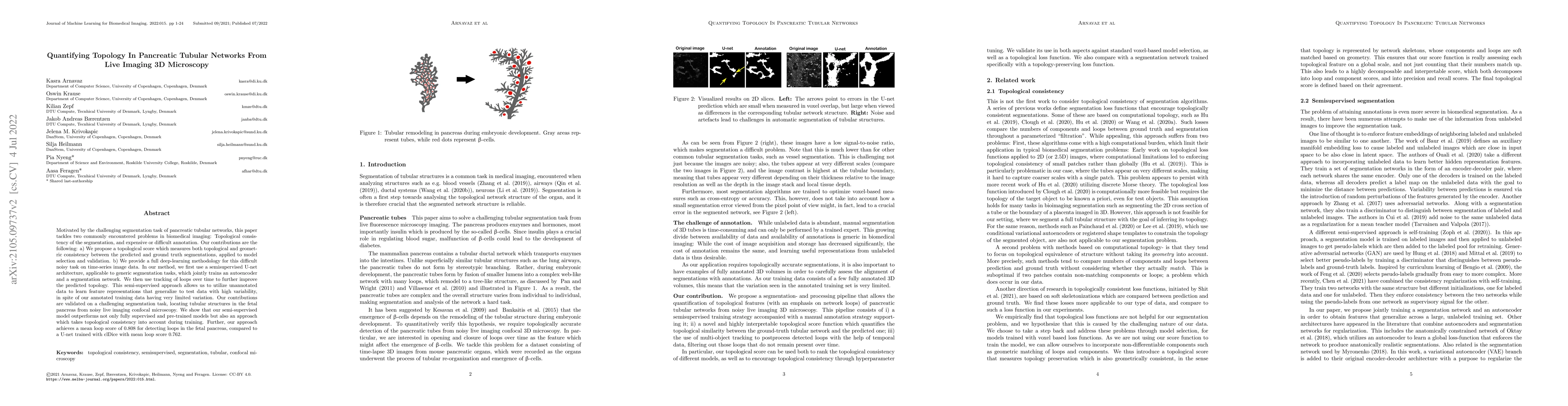 Thumbnail for Quantifying Topology In Pancreatic Tubular Networks From Live Imaging 3D
  Microscopy