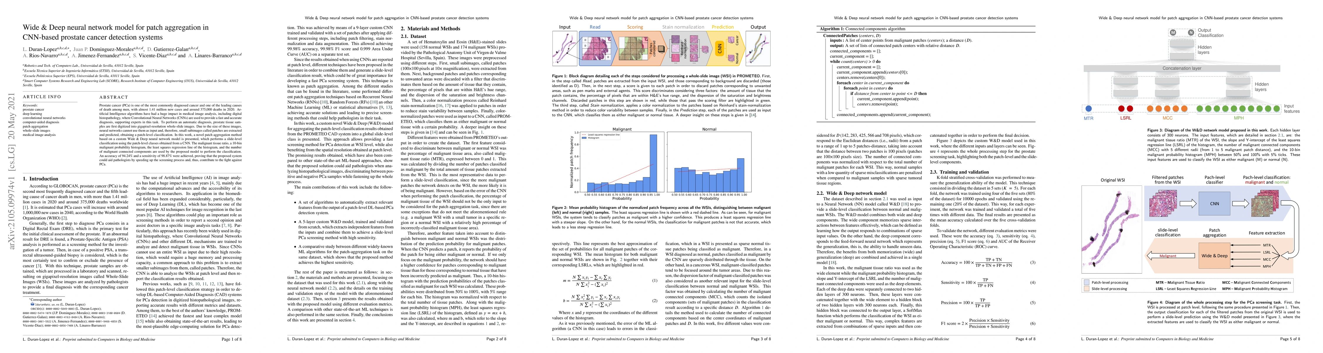 Thumbnail for Wide & Deep neural network model for patch aggregation in CNN-based
  prostate cancer detection systems