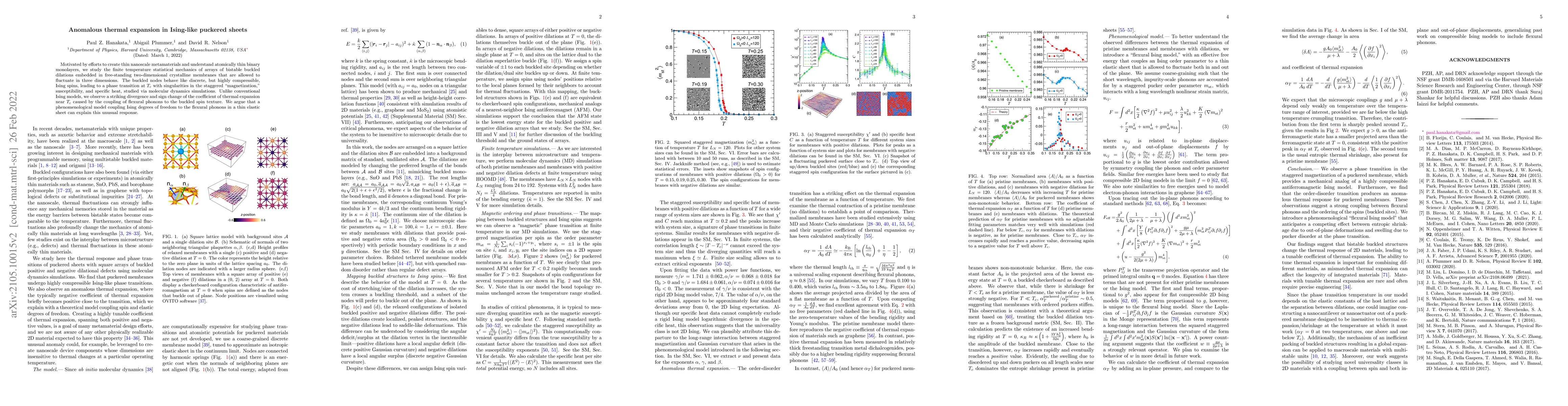Thumbnail for Anomalous thermal expansion in Ising-like puckered sheets