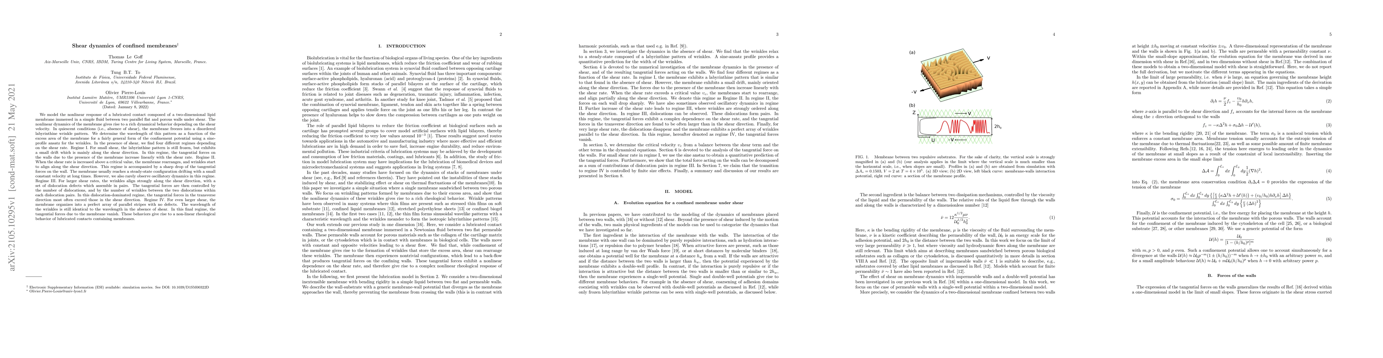 Thumbnail for Shear dynamics of confined membranes