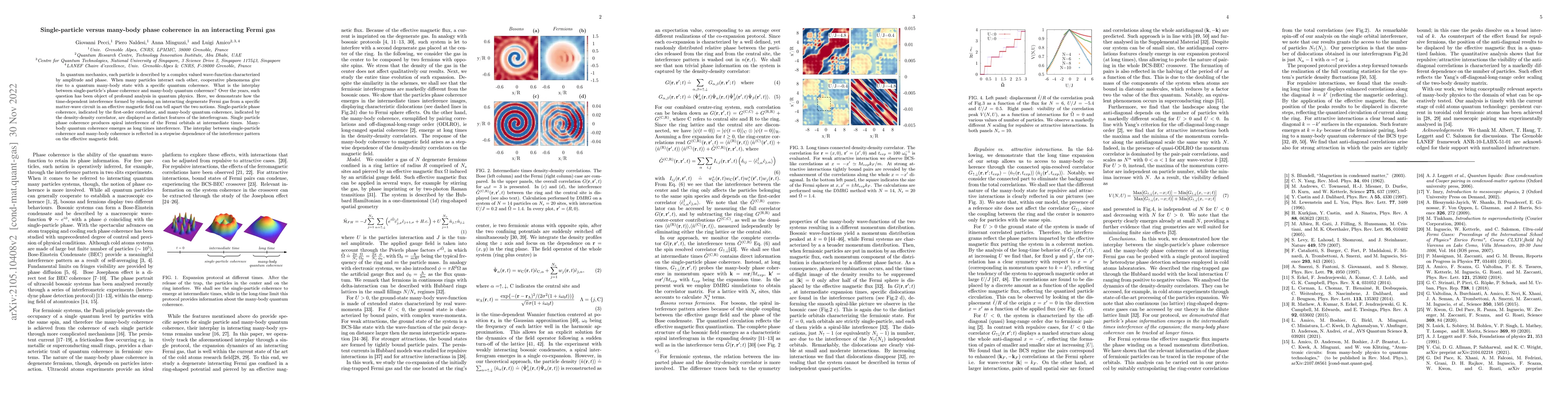 Thumbnail for Single-particle versus many-body phase coherence in an interacting Fermi
  gas