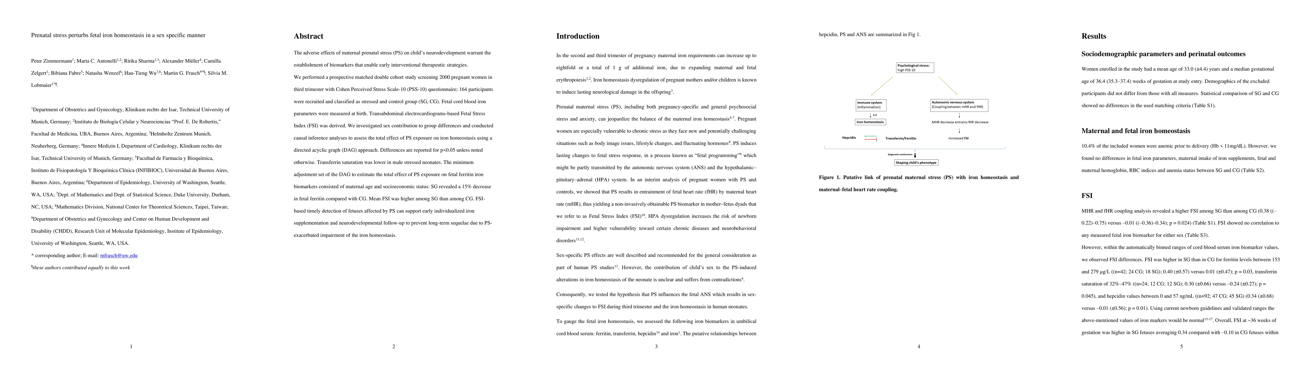 Thumbnail for Prenatal stress perturbs fetal iron homeostasis in a sex-specific manner