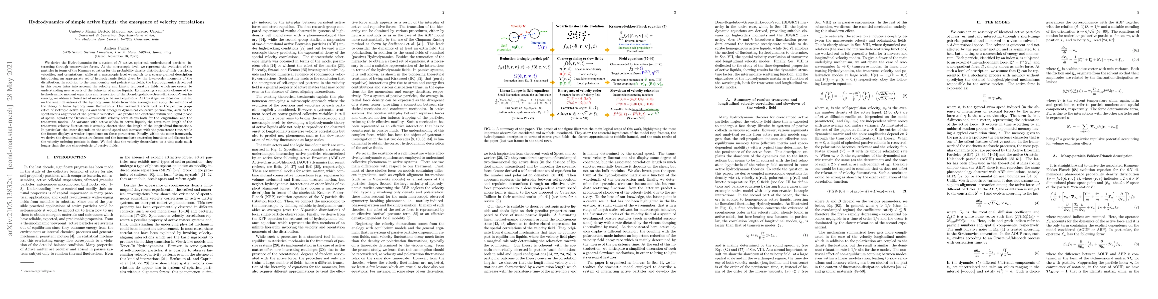 Thumbnail for Hydrodynamics of simple active liquids: the emergence of velocity
  correlations