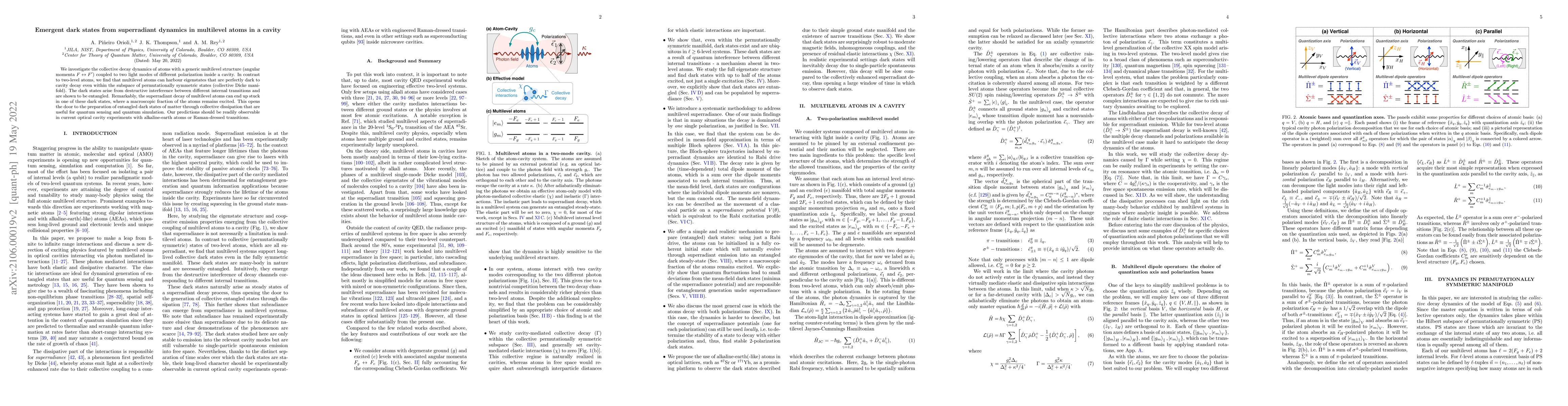 Thumbnail for Emergent dark states from superradiant dynamics in multilevel atoms in a
  cavity